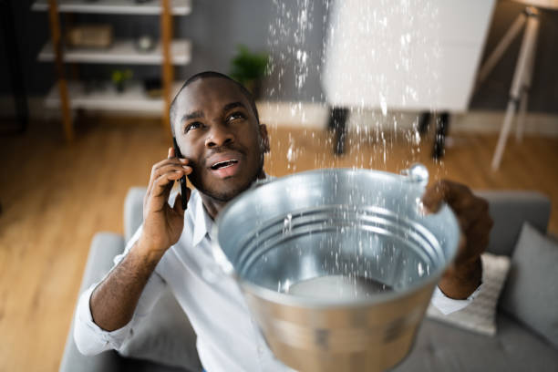 Best Water damage restoration services  in Johnstown, PA