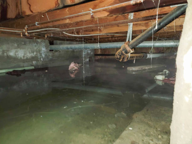Sewage cleanup and water damage restoration in Johnstown, PA