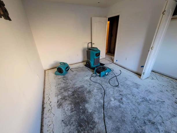 Best Fire Damage Restoration  in Johnstown, PA