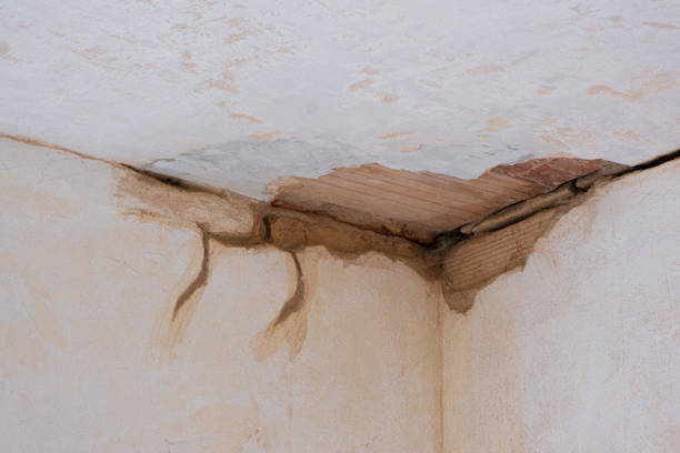 Best Local water damage restoration  in Johnstown, PA