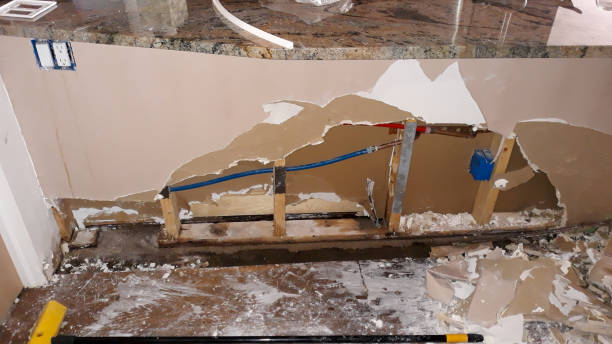 Best Water damage cleanup near me  in Johnstown, PA