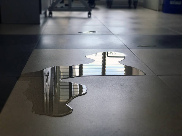 Best Water damage contractors near me  in Johnstown, PA