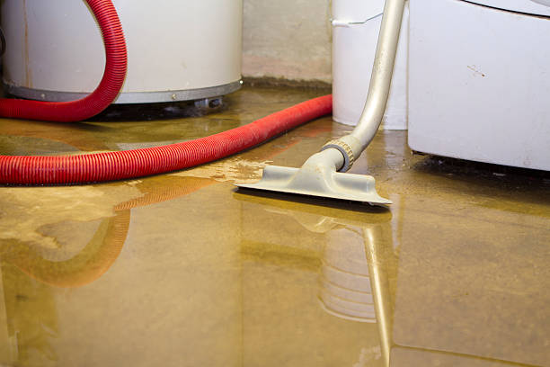 Best Flooded house restoration  in Johnstown, PA