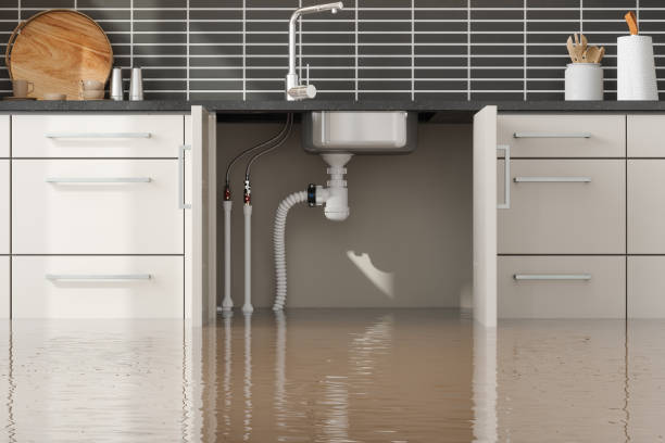Best Residential water damage restoration  in Johnstown, PA