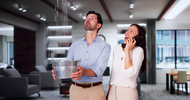 Best Water damage restoration near me  in Johnstown, PA