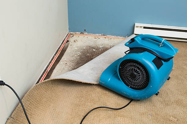Best Sewage cleanup and water damage restoration  in Johnstown, PA